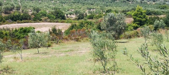 3 bedrooms Commercial property in Chalkidiki, Greece No. 4725 12