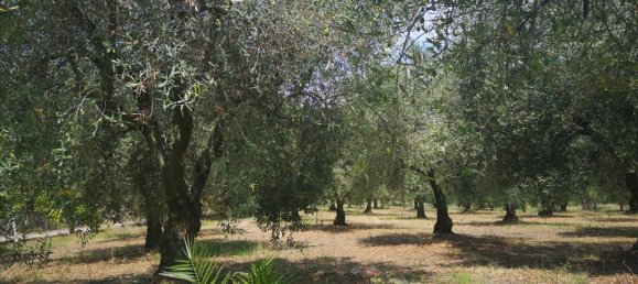 3 bedrooms Commercial property in Chalkidiki, Greece No. 4725 18