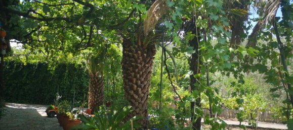 3 bedrooms Commercial property in Chalkidiki, Greece No. 4725 19