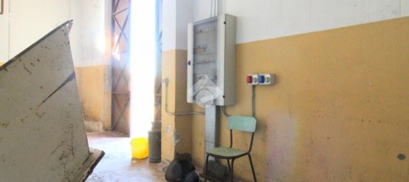 Estudio en Isola di Capo Rizzuto, Italy No. 304336 12