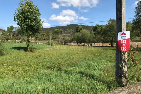 Terreno en Barcelos, Portugal No. 202227