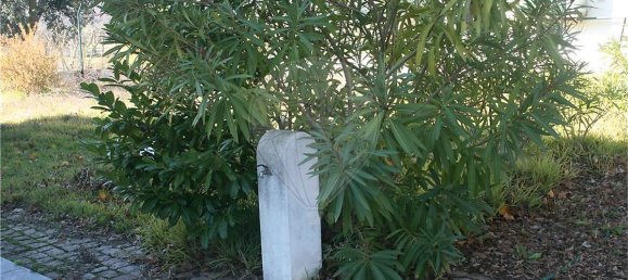 Casa T4 em Marvão, Portugal N.º 23980 6