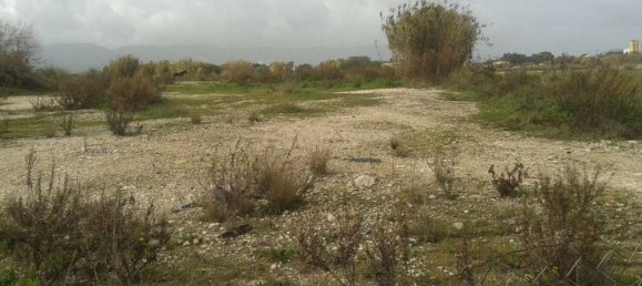  Hotel in Zakynthos, Greece No. 806 3