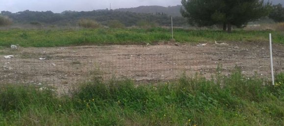  Hotel in Zakynthos, Greece No. 806 4