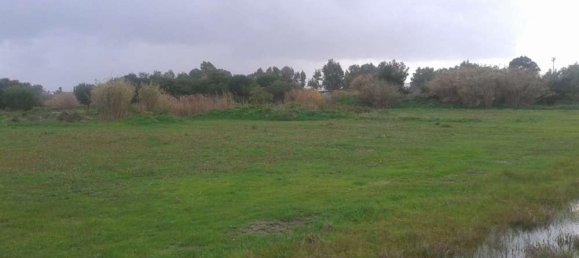  Hotel in Zakynthos, Greece No. 806 5