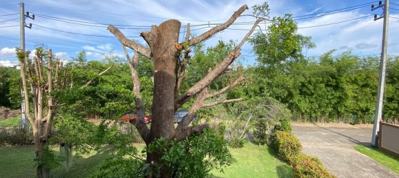 2 bedrooms Cafe / restaurant in Chiang Mai, Thailand No. 23314 7