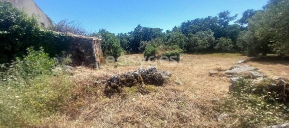 Casa T4 em Ansião, Portugal N.º 90302 19