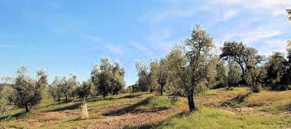 3 غرف نوم منزل في Roccastrada, Italy رقم 236990 5