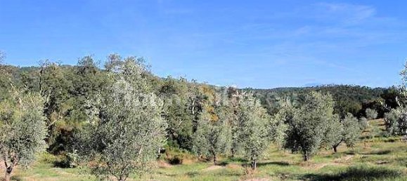 3 غرف نوم منزل في Roccastrada, Italy رقم 236990 13