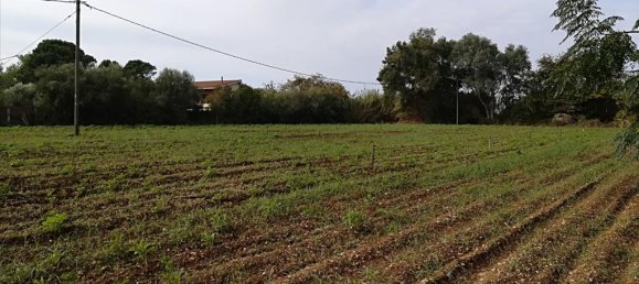 5622m² Hotel in Preveza, Greece No. 5660 3