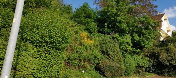 Grundstück in Rastatt, Germany, Nr. 79349 4