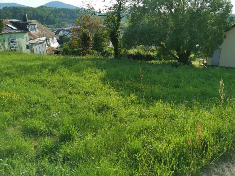 Grundstück in Rastatt, Germany, Nr. 79349