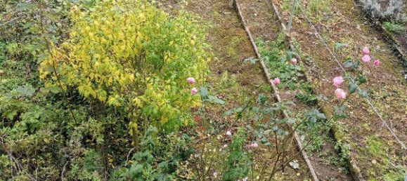 1 غرف نوم شقة في Algrange, France رقم 73648 9