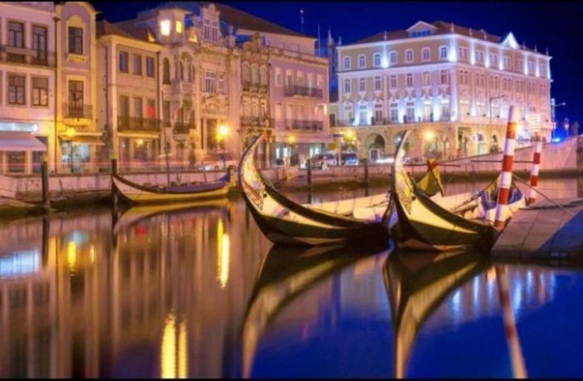 استوديو في Aveiro, Portugal رقم 1130