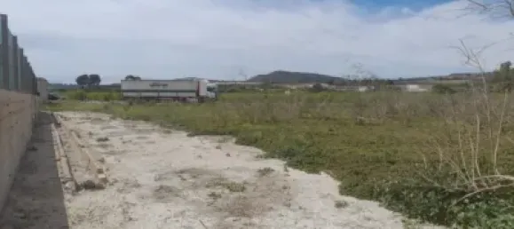  Land in Jacarilla, Spain No. 175415 7