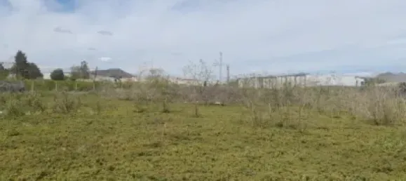  Land in Jacarilla, Spain No. 175415 10