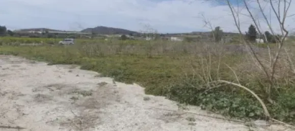  Land in Jacarilla, Spain No. 175415 6