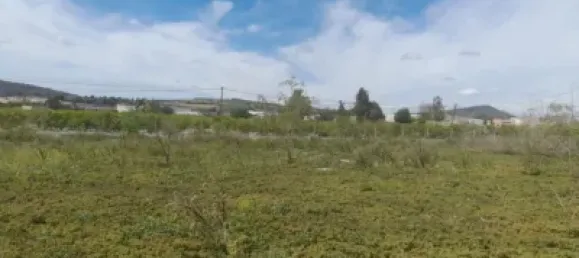  Land in Jacarilla, Spain No. 175415 9