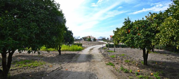 6 Schlafzimmer Haus in Palmela, Portugal, Nr. 71096 8