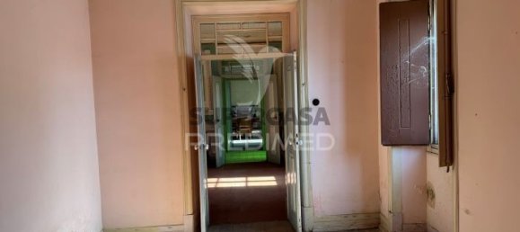 5 bedrooms House in Ervidel, Portugal No. 152038 6