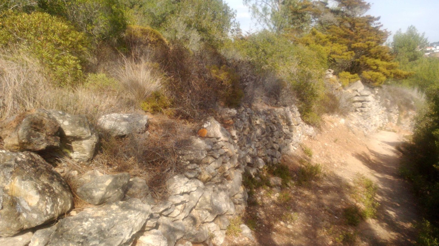  Land in Mafra, Portugal No. 246799