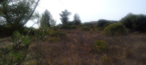  Land in Mafra, Portugal No. 246799 2