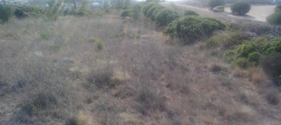  Land in Mafra, Portugal No. 246799 3