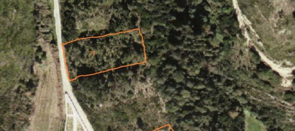  Land in Mafra, Portugal No. 246799 4