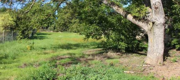 6 غرف نوم مزرعة في Alzey-Worms, Germany رقم 152075 16