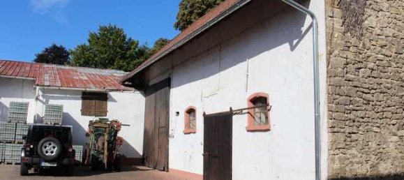 6 غرف نوم مزرعة في Alzey-Worms, Germany رقم 152075 9