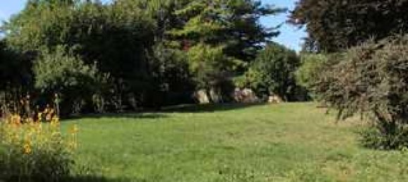 6 غرف نوم مزرعة في Alzey-Worms, Germany رقم 152075 3