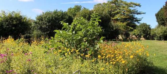 6 غرف نوم مزرعة في Alzey-Worms, Germany رقم 152075 12