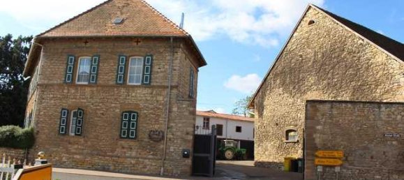 6 غرف نوم مزرعة في Alzey-Worms, Germany رقم 152075 6