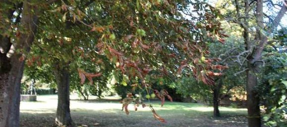 6 غرف نوم مزرعة في Alzey-Worms, Germany رقم 152075 11