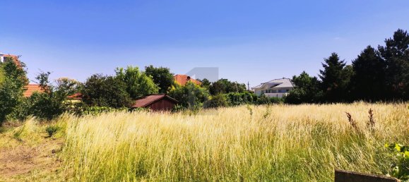  Land in Donnerskirchen, Austria No. 243112 3