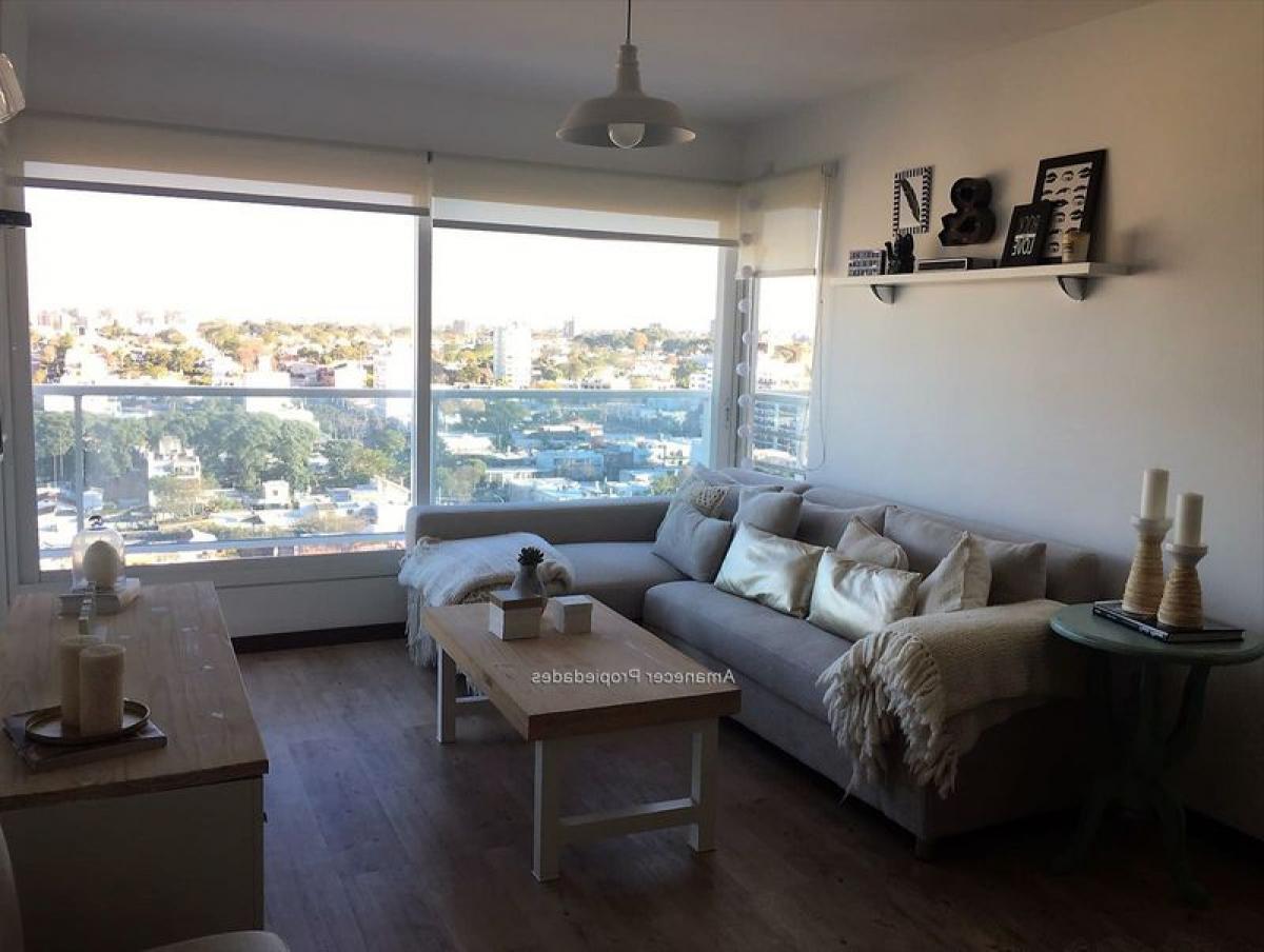 Estúdio em Montevideo, Uruguay N.º 7015