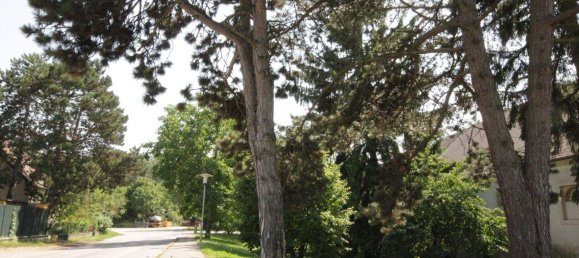 Adosado de 5 habitaciónes en Stockerau, Austria No. 202991 20