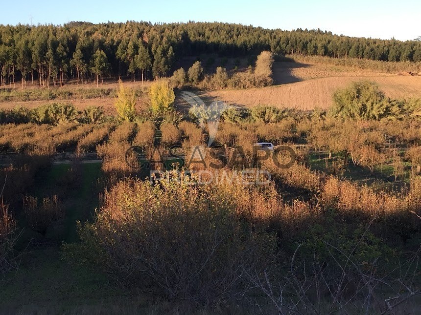 Terreno en Lourinha, Portugal No. 213986