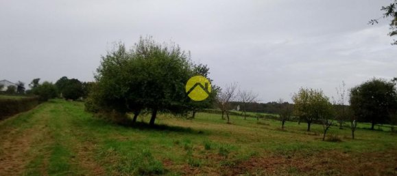 Дом с 4 спальнями в Сент-Аман-Монтрон, Франция № 221423 17