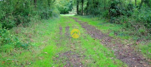 Дом с 4 спальнями в Сент-Аман-Монтрон, Франция № 221423 18