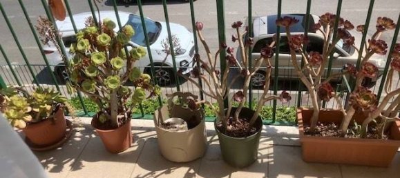 2 bedrooms Apartment in Livorno, Italy No. 294814 16