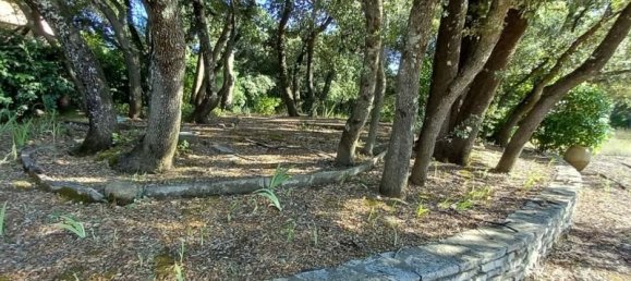 Grundstück in Montaud, France 4220m², Nr. 290700 4