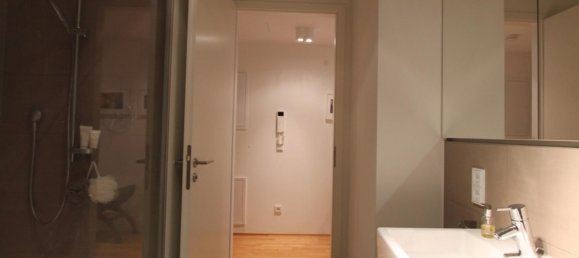 1 bedroom Apartment in Frankfurt am Main, Germany No. 335655 13