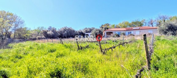  Land in Brouilla, France No. 281973 4