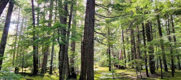  Land in British Columbia, Canada No. 1452 6