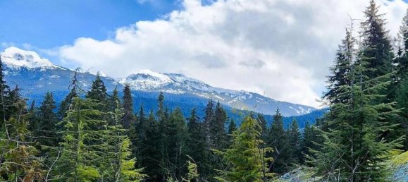  Land in British Columbia, Canada No. 1452 5