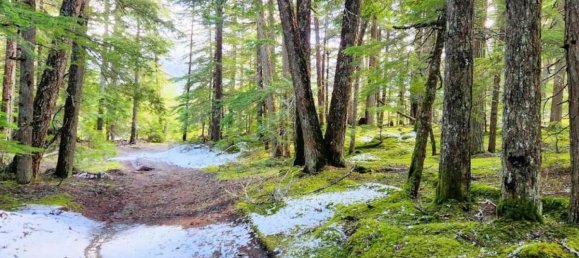  Land in British Columbia, Canada No. 1452 4