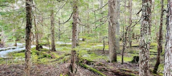  Land in British Columbia, Canada No. 1452 7