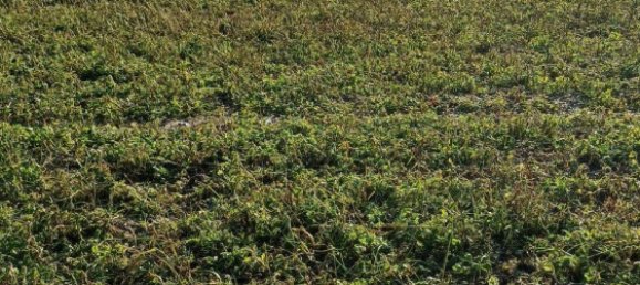  Land in Freising, Germany No. 262944 2