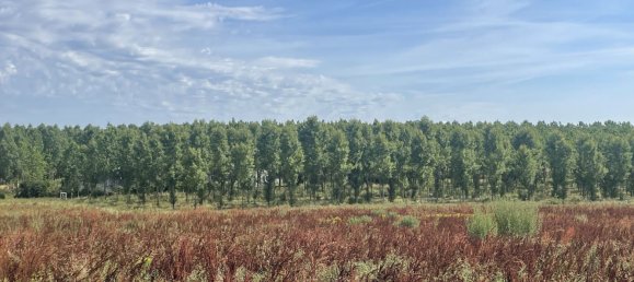 8783m² Land in Casteljaloux, France No. 306865 2